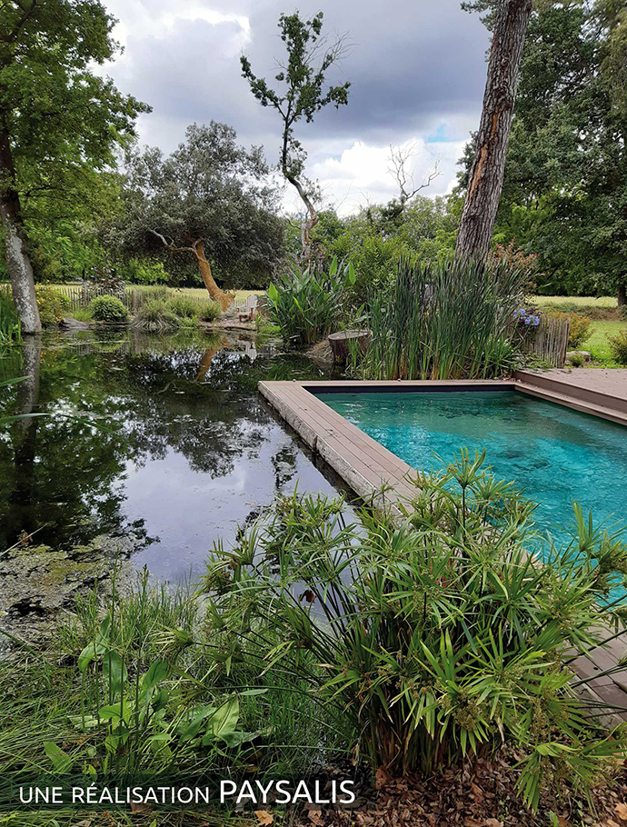 Jardin: la piscine naturelle et l'étang de baignade